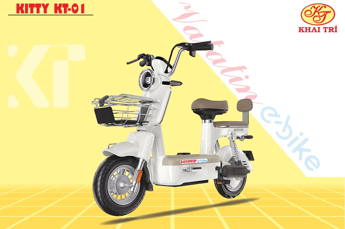 fb-xe_vatatin_e-bike_-_2-21a