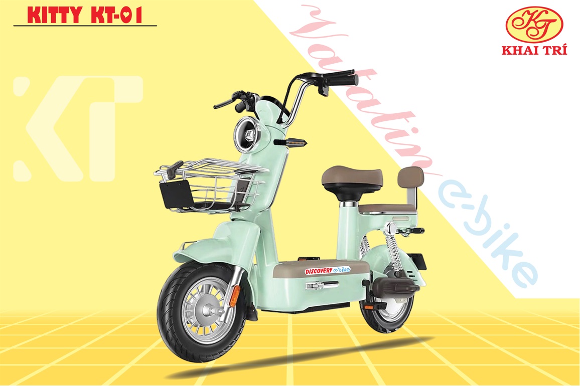 fb-xe_vatatin_e-bike_-_2-24a