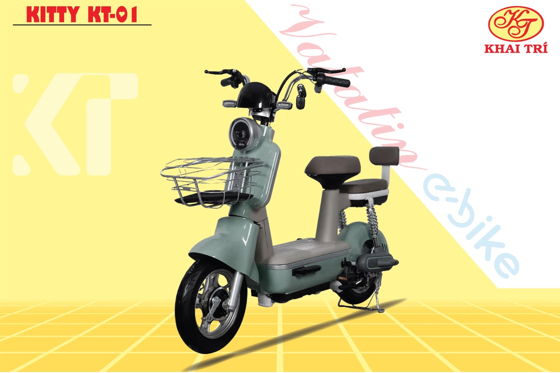 fb-xe_vatatin_e-bike_-_2-25a