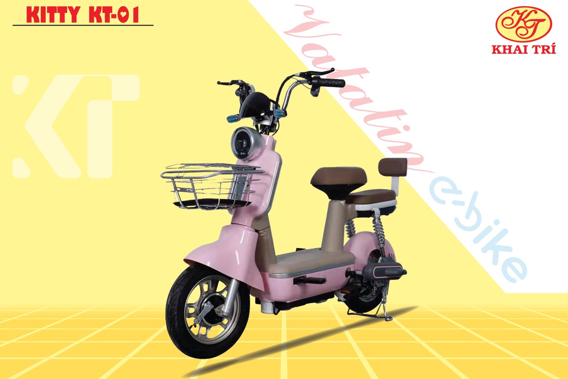 fb-xe_vatatin_e-bike_-_2-27a