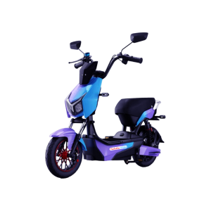 XE ĐẠP ĐIỆN VATATIN E-BIKE XMEN KT06