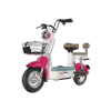 xe-dap-dien-vatatin-e-bike-kitty-kt04 - ảnh nhỏ 2